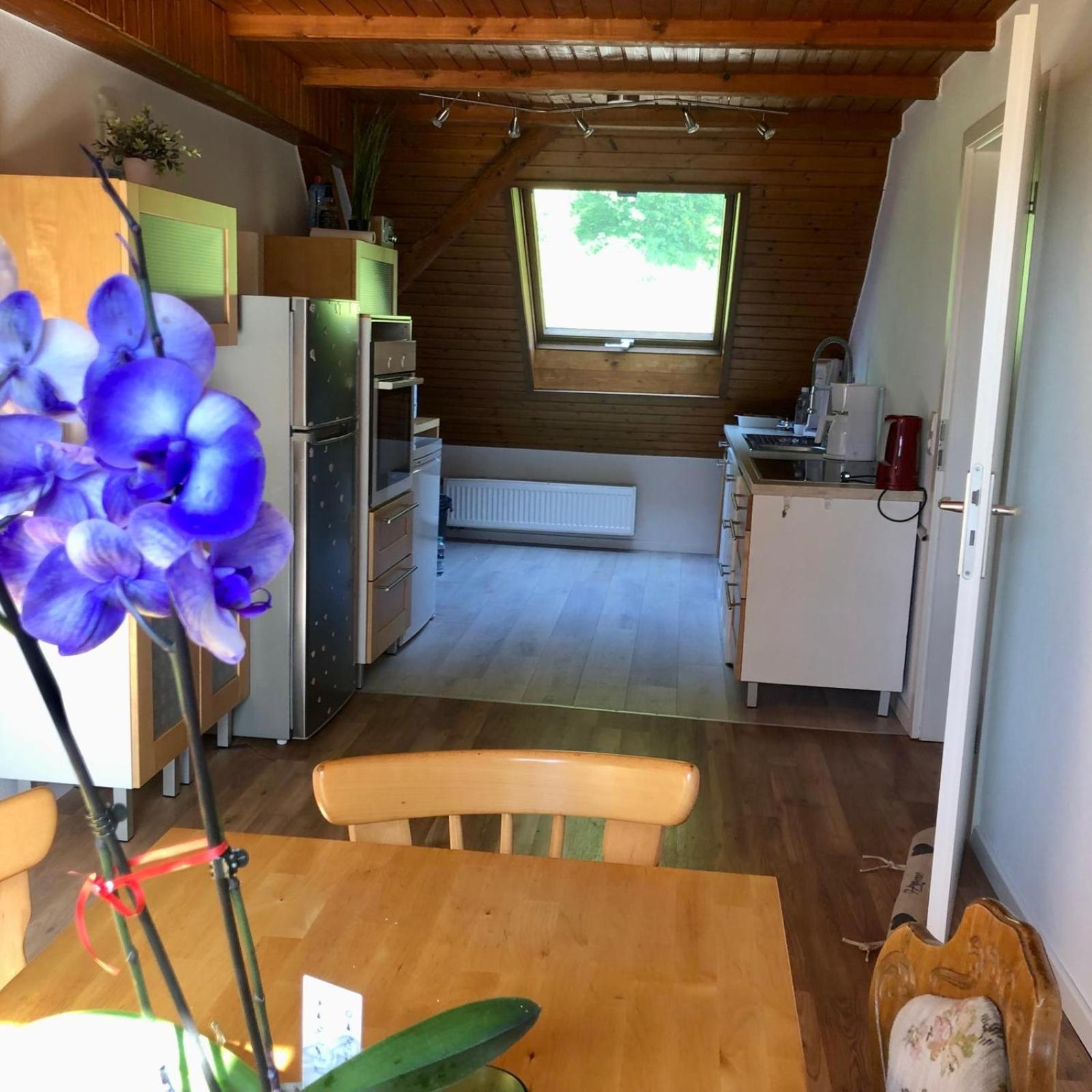 Ferien Im Schwarzwald Freiamt Hotel ภายนอก รูปภาพ