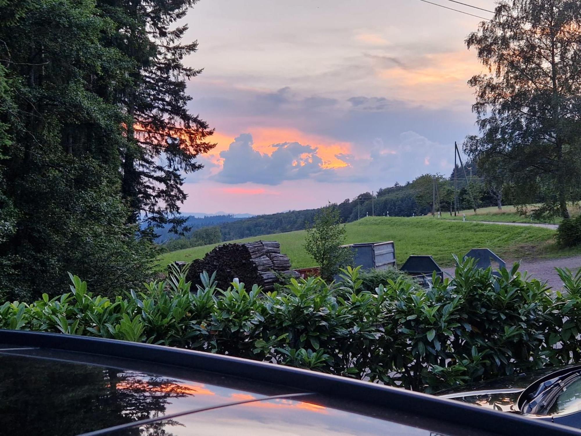 Ferien Im Schwarzwald Freiamt Hotel ภายนอก รูปภาพ