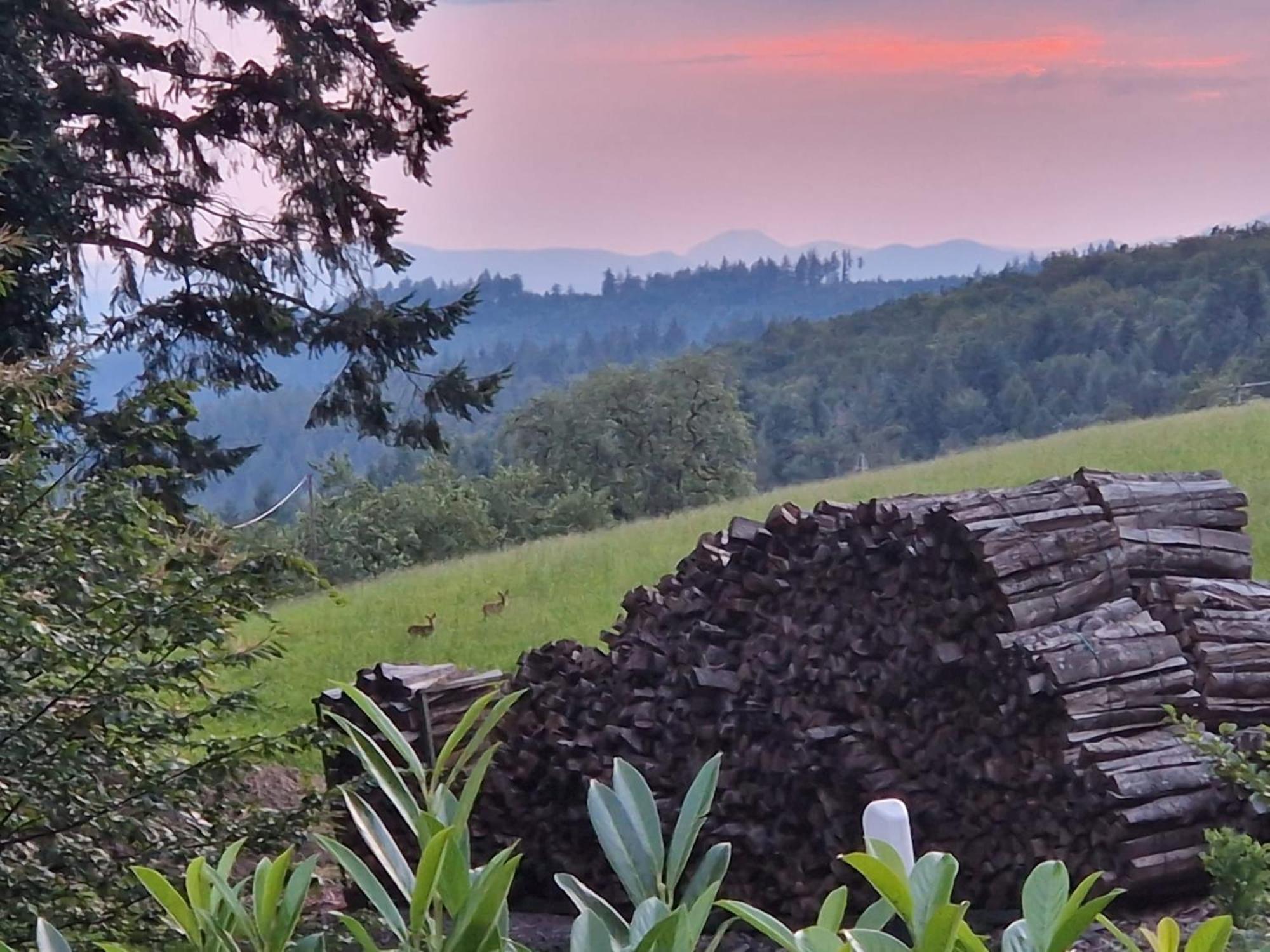 Ferien Im Schwarzwald Freiamt Hotel ภายนอก รูปภาพ