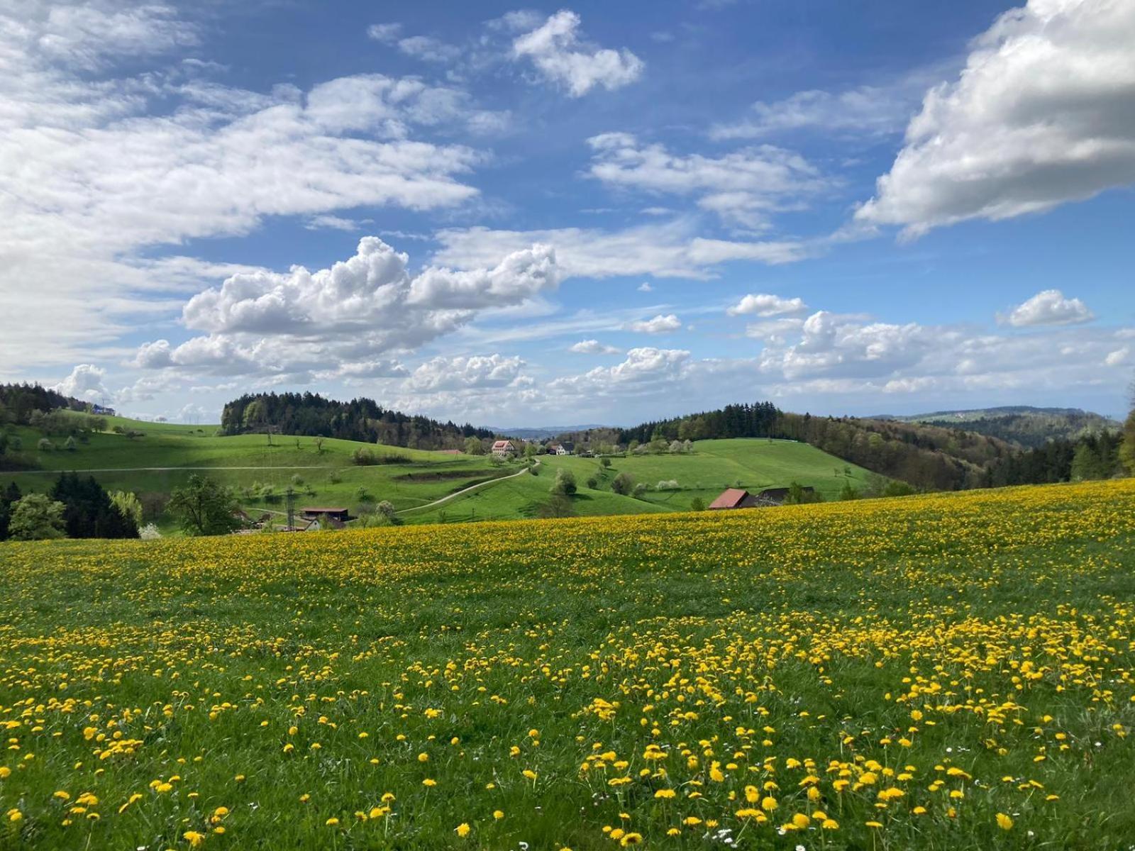 Ferien Im Schwarzwald Freiamt Hotel ภายนอก รูปภาพ