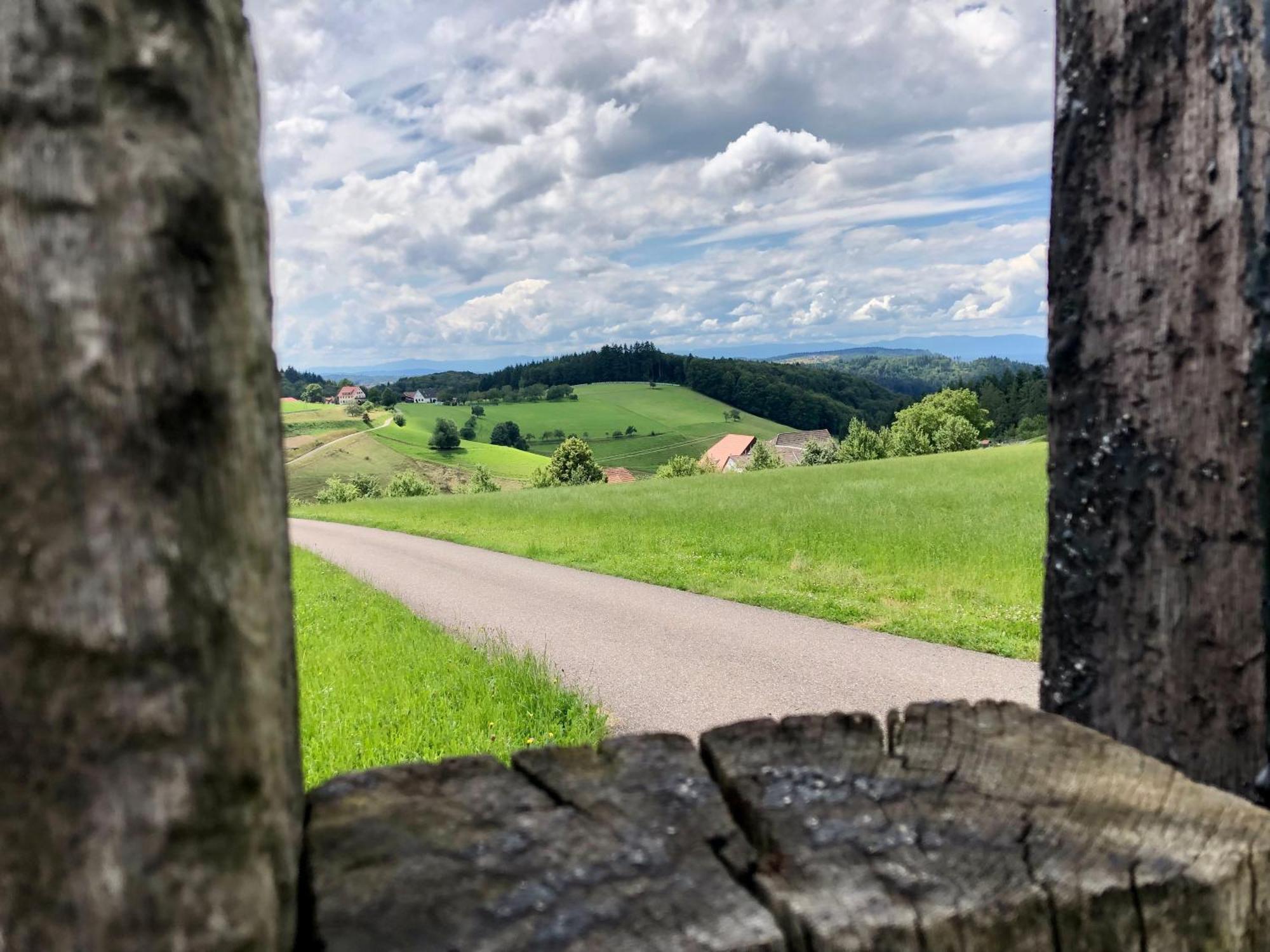 Ferien Im Schwarzwald Freiamt Hotel ภายนอก รูปภาพ