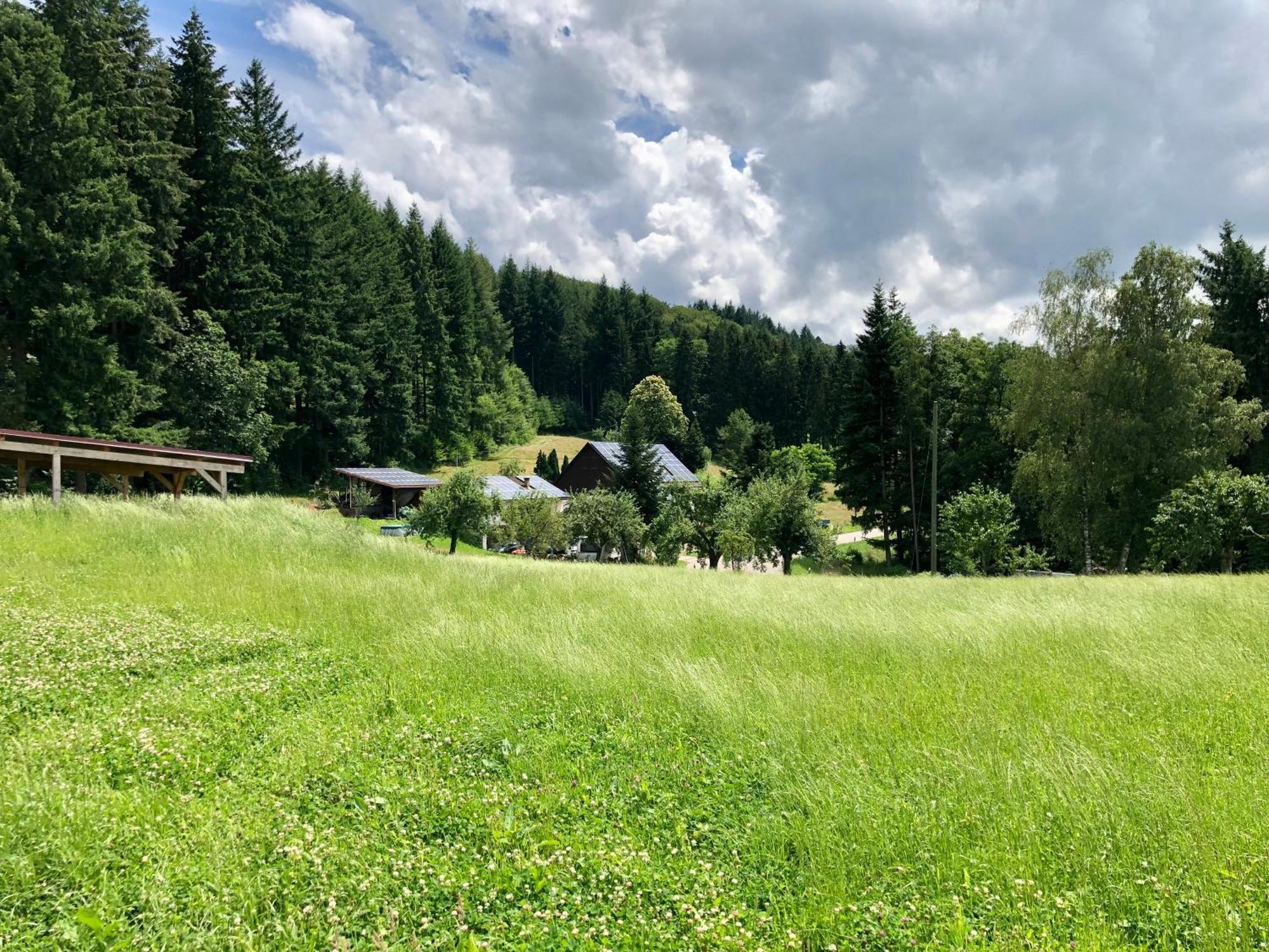 Ferien Im Schwarzwald Freiamt Hotel ภายนอก รูปภาพ