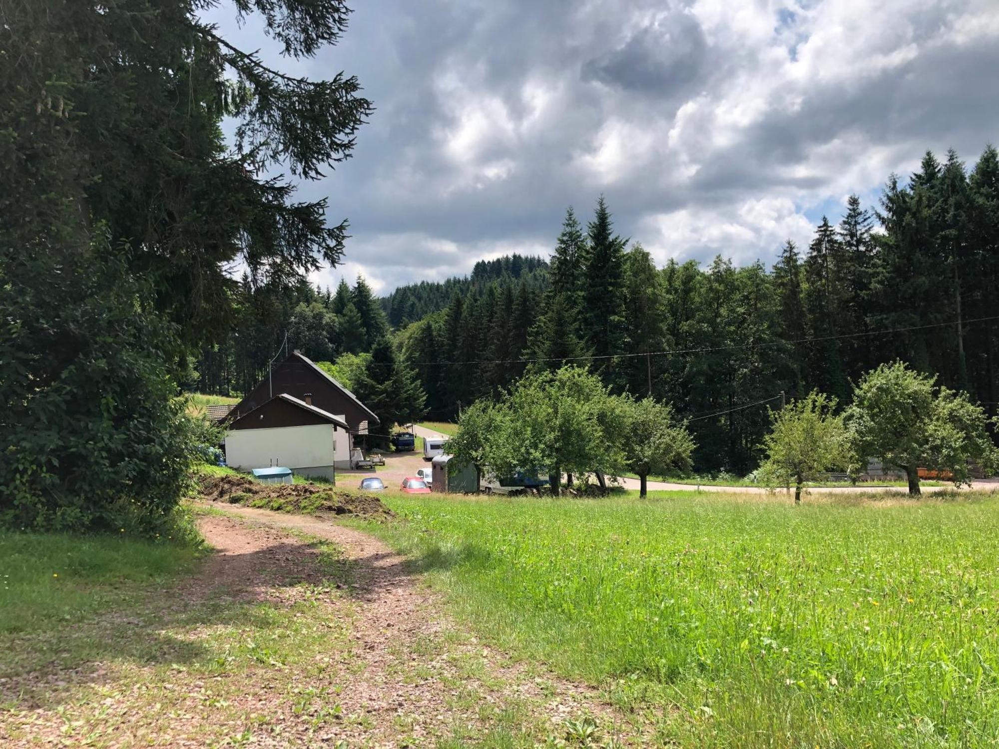 Ferien Im Schwarzwald Freiamt Hotel ภายนอก รูปภาพ