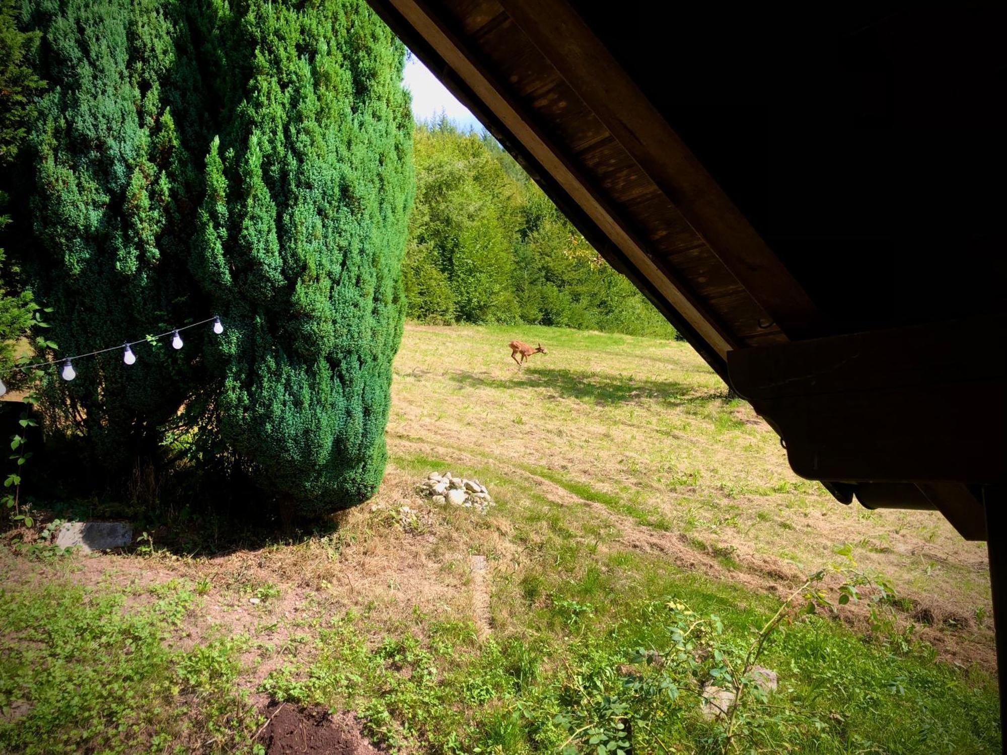 Ferien Im Schwarzwald Freiamt Hotel ภายนอก รูปภาพ