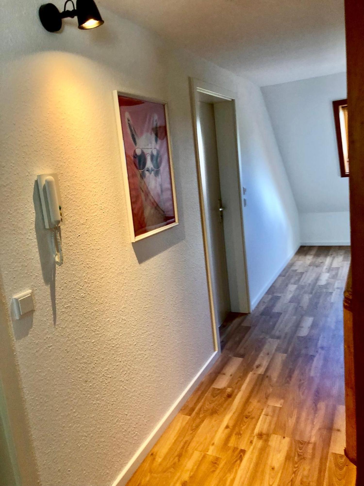 Ferien Im Schwarzwald Freiamt Hotel ภายนอก รูปภาพ